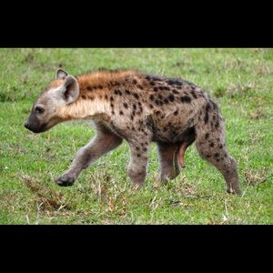 Meet your Posher, Joseph